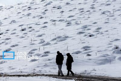 هشدار یخبندان در ۱۹ استان