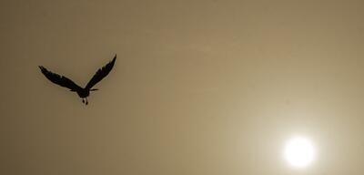 افزایش آلودگی هوای تهران تا اواخر هفته