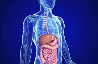 عارضه های زنجبیل برای گوارش