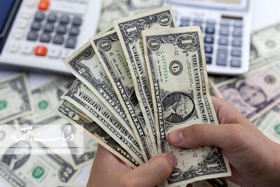 صبح نو: مصوبه مجلس عامل گرانی ارز نبوده است