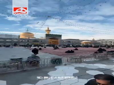  نصب کتیبه ویژه ولادت امام باقر (ع) در حرم مطهر رضوی