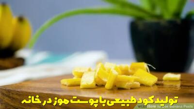  تولید کود طبیعی با پوست موز در خانه + مزایای کود طبیعی پوست موز