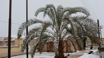 بارش برف و باران در برخی استان‌ها