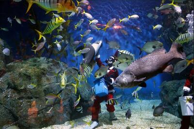  دیدنی های امروز؛ از نقاشی دیواری جدید بنکسی تا ربات انسان نمای تسلا