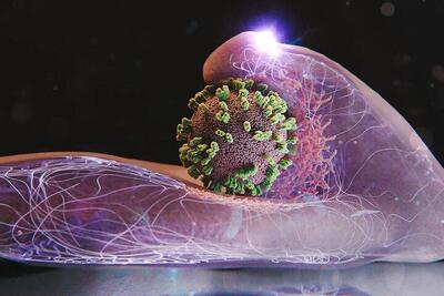  مهار موج شدید آنفلوآنزا در کشور طی هفته جاری