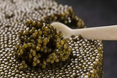 خاویار ایران؛ همچنان پادشاه بازارهای لوکس جهانی