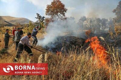  کاهش ۵۸ درصدی سطح تخریب آتش‌سوزی‌ها با وجود خشکسالی در کرمانشاه/ ۲۶۹ متخلف زیست‌محیطی در ۹ ماه گذشته دستگیر شدند