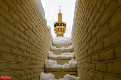  برف و حرم + گزارش تصویری