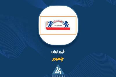 گزارش ۱۲ماهه «چفیبر»؛ درآمد نصف شد، سود ناخالص افزایش یافت