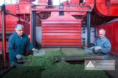 «غاذر» یک قرارداد جدید بست