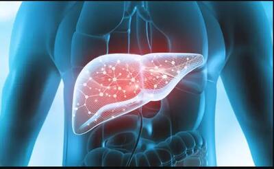  راه درمان کبد چرب مشخص شد