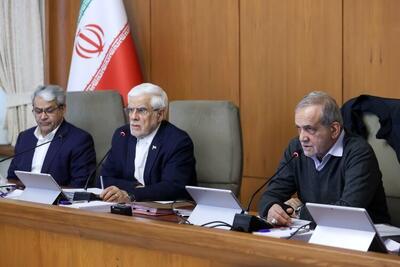  آخرین وضعیت اجرایی طرح «ساماندهی کارت‌ های جایگاه‌ها»/ مصرف بنزین چقدر کم شد؟