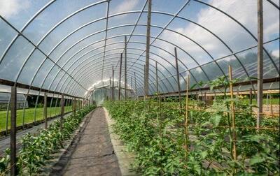  هرمزگان درمسیرهوشمندسازی کشاورزی