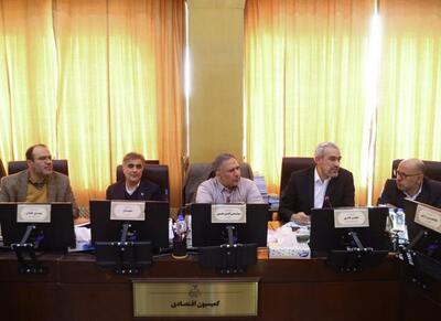  حضور مدنی زاده و فرزین در جلسه امروز کمیسیون اقتصادی مجلس - اکونی