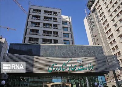  ادعای ریختن چندین تن برنج به دریا صحت دارد؟/ وزارت جهاد کشاورزی واکنش داد