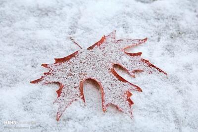  گزارش هواشناسی کشور در ۳۰ آذر ۱۴۰۴ / هشدار فوری هواشناسی صادر شد