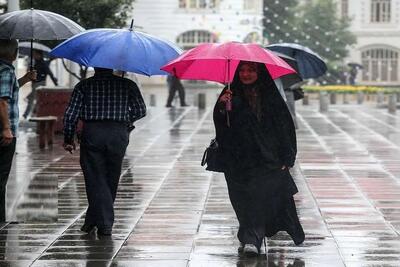رئیس سازمان هواشناسی: بخش قابل توجهی از آب حاصل از بارش‌های اخیر، وارد دریا شده، زیرا مدیریت و جمع‌آوری نشدند