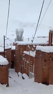 ببینید؛ ذوق پیرزن ابیانه‌ای از بارش سنگین برف