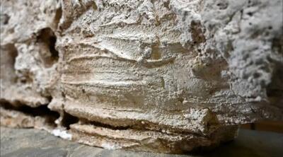  لمس آخر؛ اثر انگشت زندگان بر پیکر مردگان پس از ۱۸ قرن