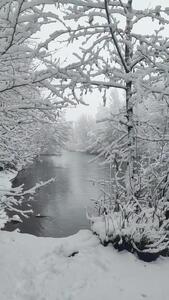 نمایی رویایی از حاشیه زاینده‌رود