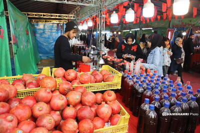 استقبال از یلدا با «صددانه‌یاقوت»