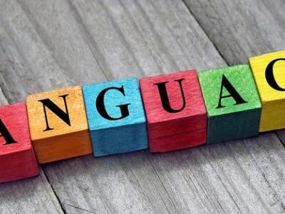 پیوندی ناگسستنی میان واژه و وطن - دیپلماسی ایرانی