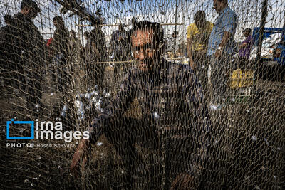  قاب زندگی/ اتوبان آزادگان و جمعه‌هایی پر از قفس