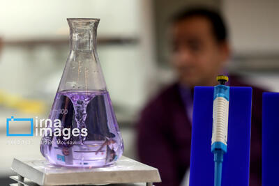  ارائه بیش از ۴ میلیون خدمت آزمایشگاهی توسط آزمایشگاه‌های توانمند کشور