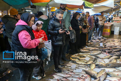  خرید شب چلّه در بازار رشت