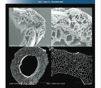  انتشار مقاله پژوهشگران دانشگاه بهشتی در مجله معتبر Current Protocols