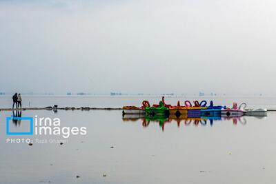  تولد دوباره دریاچه مهارلو؛ بازگشت فلامینگوها با بارش‌های پاییزی