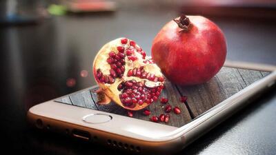  یلدا به بلندای آیین‌های دور و دراز