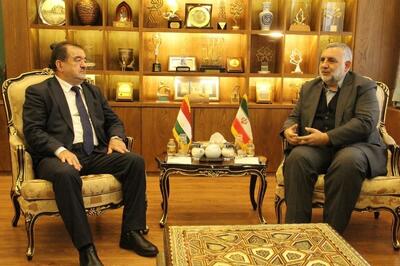 جوادی: تفاهم‌نامه ۳۰ سال پیش ایران و تاجیکستان نیاز به بازنگری دارد