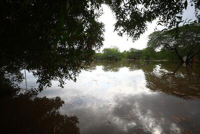 پنج میلیون متر مکعب آب بارش اخیر وارد آبخوان‌های کیش شد