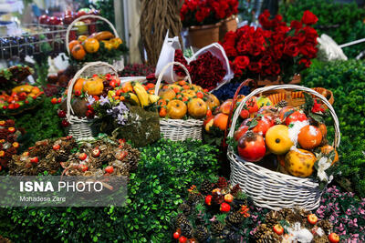  توزیع ۱۲۰۰ بسته یلدایی بین مددجویان کمیته امداد گنبدکاووس 