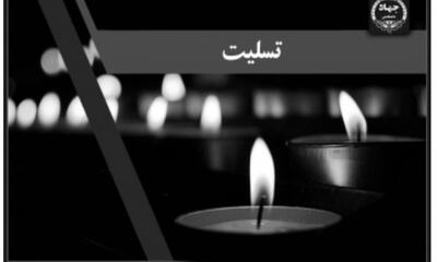  پیام تسلیت رئیس جهاددانشگاهی در پی درگذشت اشرف بروجردی