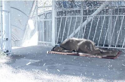  شهرداری اصفهان، اقدامات حمایتی از کارتن‌خواب‌ها را در فصل سرد تشدید کرد