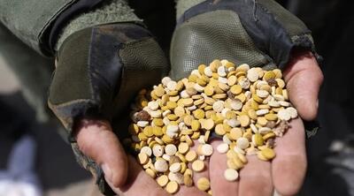  پشت صحنه جنگ دوگانه؛ صهیونیست‌ها غزه را با مواد مخدر پر کرده‌اند