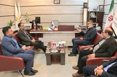  تملک اراضی جدید صنعتی در فارس/ شهرک تخصصی انرژی خورشیدی راه‌اندازی شد