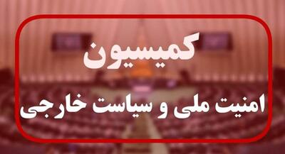  بررسی طرح مقابله با نفوذ بیگانگان در کمیسیون امنیت ملی مجلس | جهان نیوز