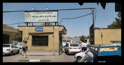 تعویض پلاک روی نظم ماند؛ تأخیر ادارات شاملش نشد