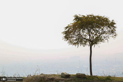  زمان آلوده تر شدن هوای تهران اعلام شد/ جدیدترین گزارش هواشناسی در 30 آذر 1404