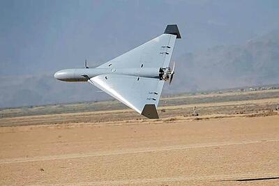  شاهد از آمریکا رسید