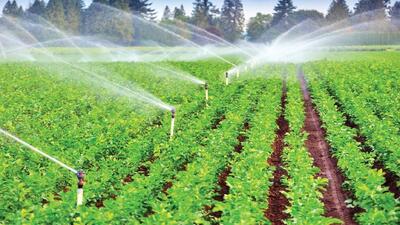  کشت سنتی، تهدید کشاورزی پایدار