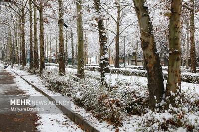 فعالیت آخرین موج بارشی در کشور؛ بارش‌های پراکنده و موقتی در ۵ استان