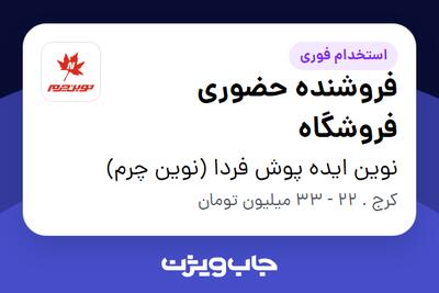 استخدام فروشنده حضوری فروشگاه در نوین ایده پوش فردا (نوین چرم)