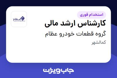  استخدام کارشناس ارشد مالی در گروه قطعات خودرو عظام