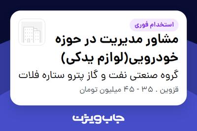  استخدام مشاور مدیریت در حوزه خودرویی(لوازم یدکی) - آقا در گروه صنعتی نفت و گاز پترو ستاره فلات