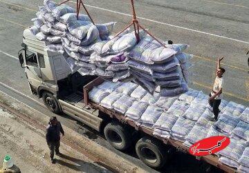  چرا واردات برنج و کالاهای اساسی در انحصار یک گروه خاص است؟ - کلبه سرگرمی