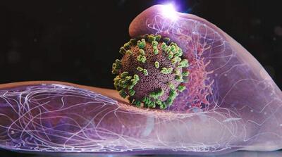 مهار موج شدید آنفلوآنزا در کشور طی هفته جاری - مردم سالاری آنلاین